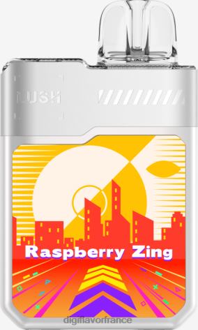 Digiflavor Paris 2026L12 piquant de framboise | Digiflavor Geekbar LUSH produits jetables