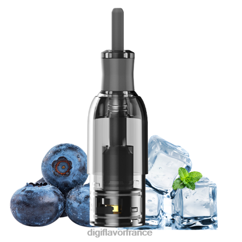 Digiflavor Bordeaux 2026L33 glace aux myrtilles | Digiflavor M1 réservoir
