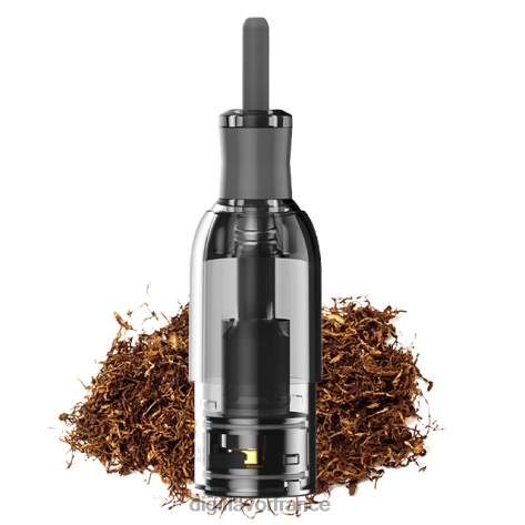 Digiflavor Geek Vape 2026L40 le tabac | Digiflavor M1 réservoir